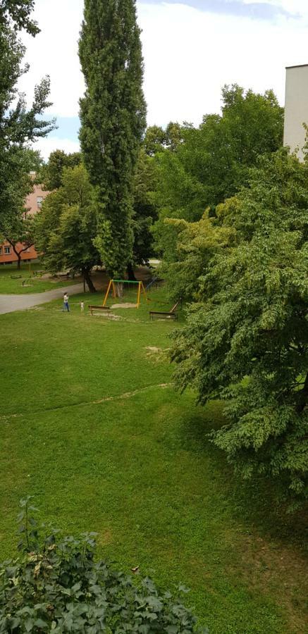 Orhideja Osijek 아파트 외부 사진